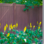 Beautiful-Rosewood-Illusions-Vinyl-Privacy-Fence_0001