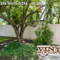 V300-6 T&G PVC Privacy Fence in Eastern White Cedar (W105)