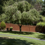 Privacy Fence with Scalloped Victorian Top in Rosewood (W104)