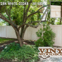 V300-6 T&G PVC Privacy Fence in Eastern White Cedar (W105)